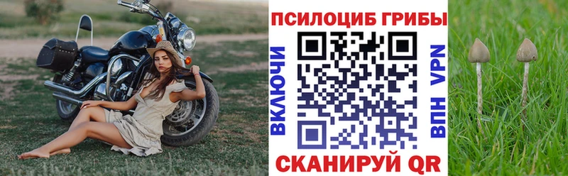 цены   Кисловодск  Галлюциногенные грибы Magic Shrooms 