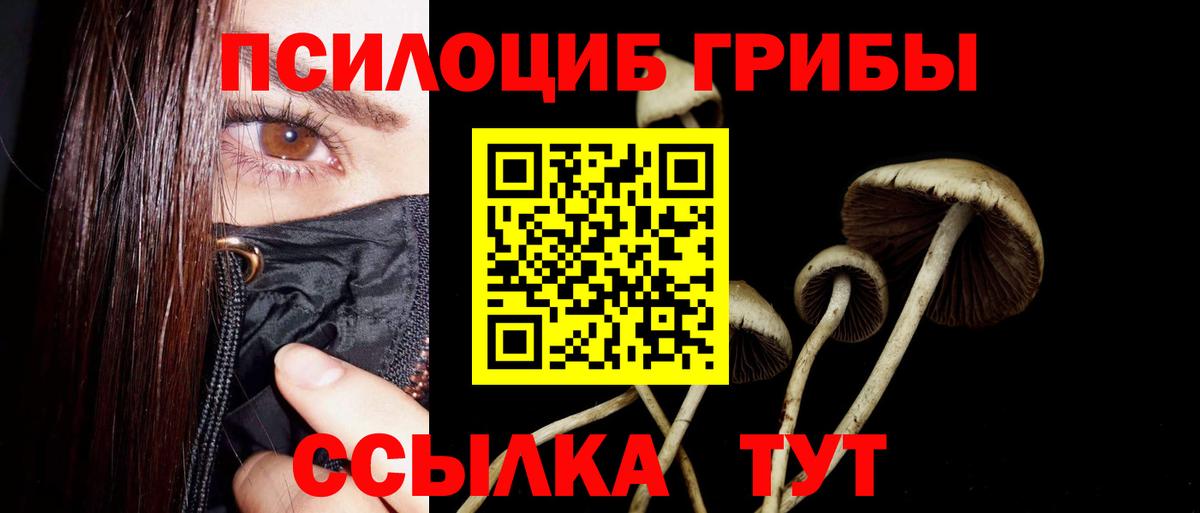 Галлюциногенные грибы мицелий  Вход с VPN  Кисловодск 